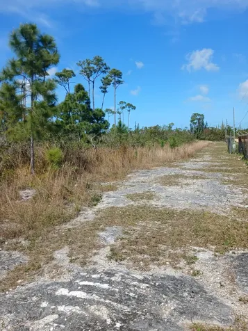 East Beach Drive Tract 10 Grand Bahama Freeport BS
