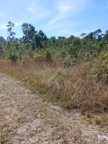 East Beach Drive Tract 10 Grand Bahama Freeport BS