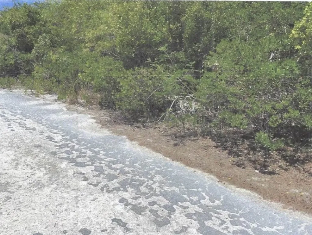 Cigatoo Estates Lot # 289 Eleuthera BS