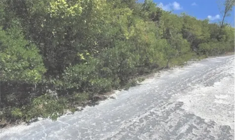 Cigatoo Estates Lot # 289 Eleuthera BS