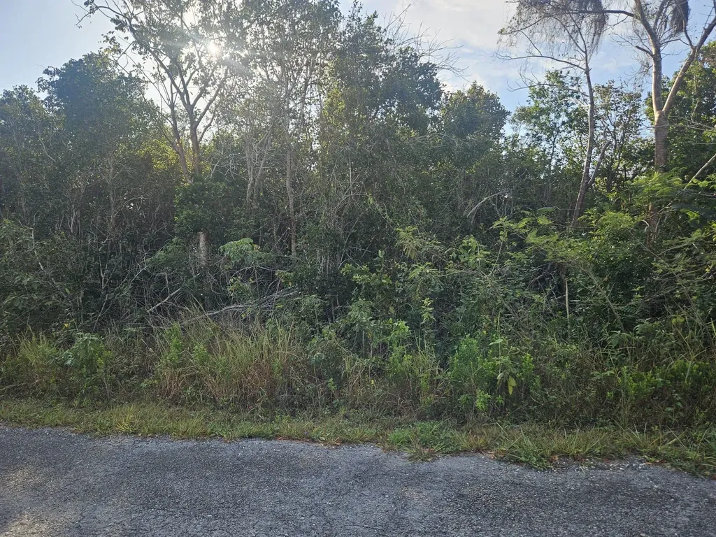 Hillside Place South Oc 25 New Providence Paradise Island BS