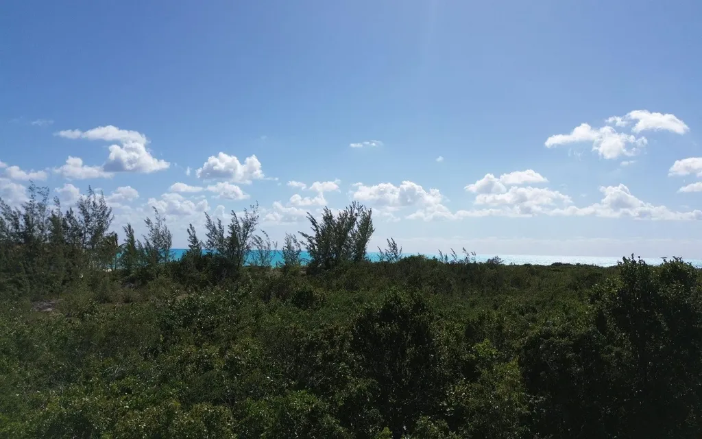 3 Acres, Turnbull Hilltop Long Island BS