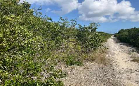 3 Acres, Turnbull Hilltop Long Island BS