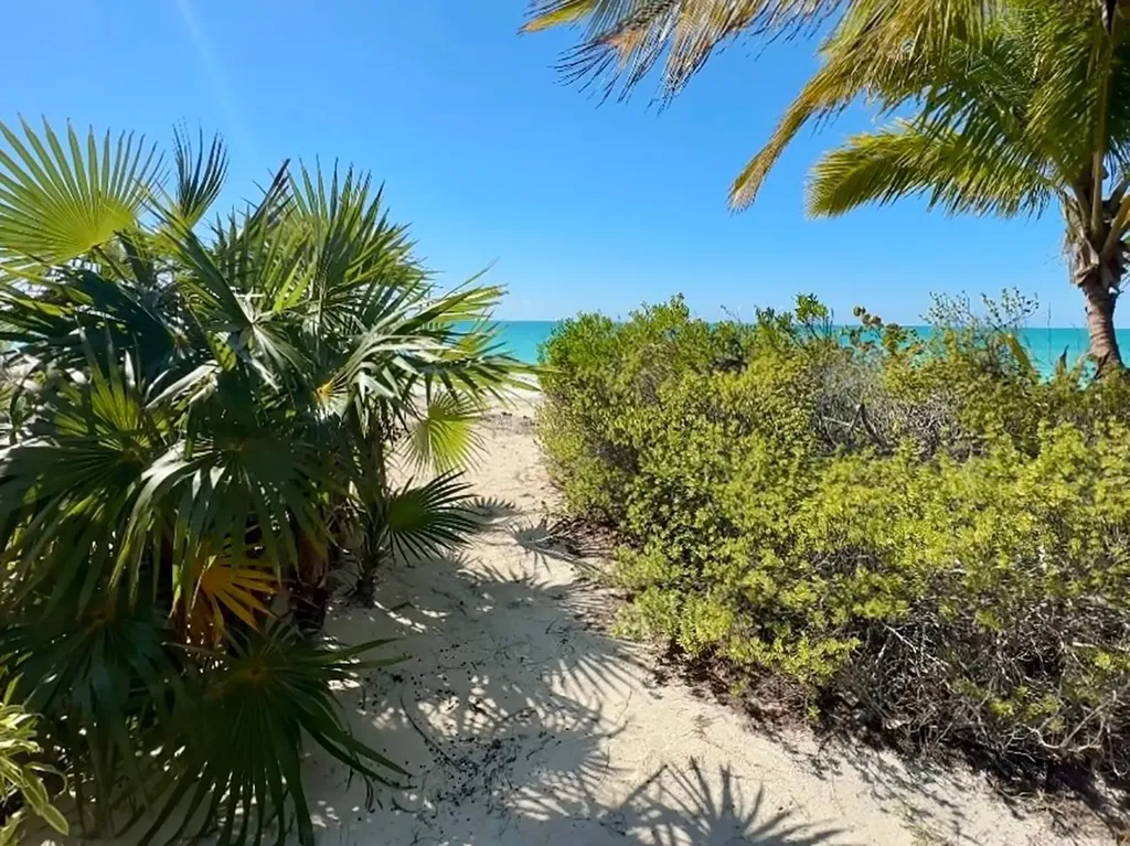 Lot F Old Bight Cat Island BS