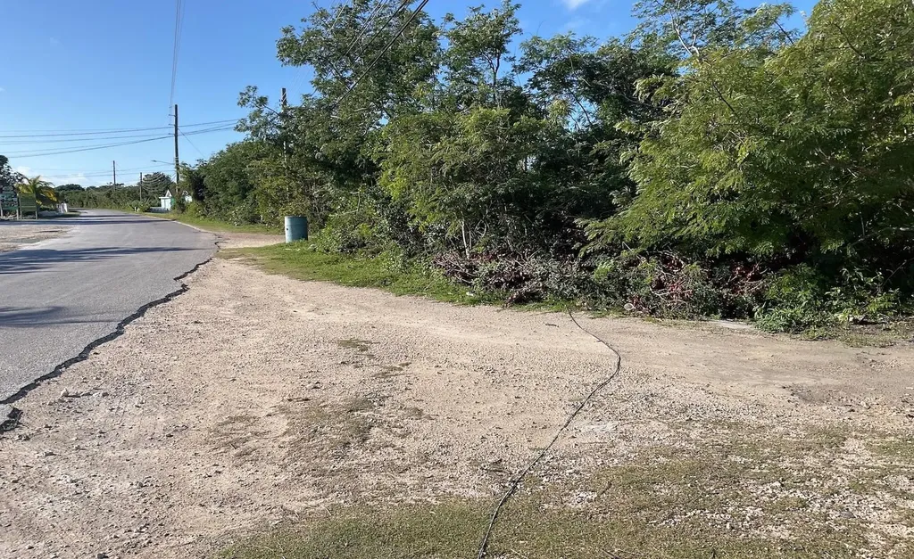 Deadmans's Cay Lot Long Island BS