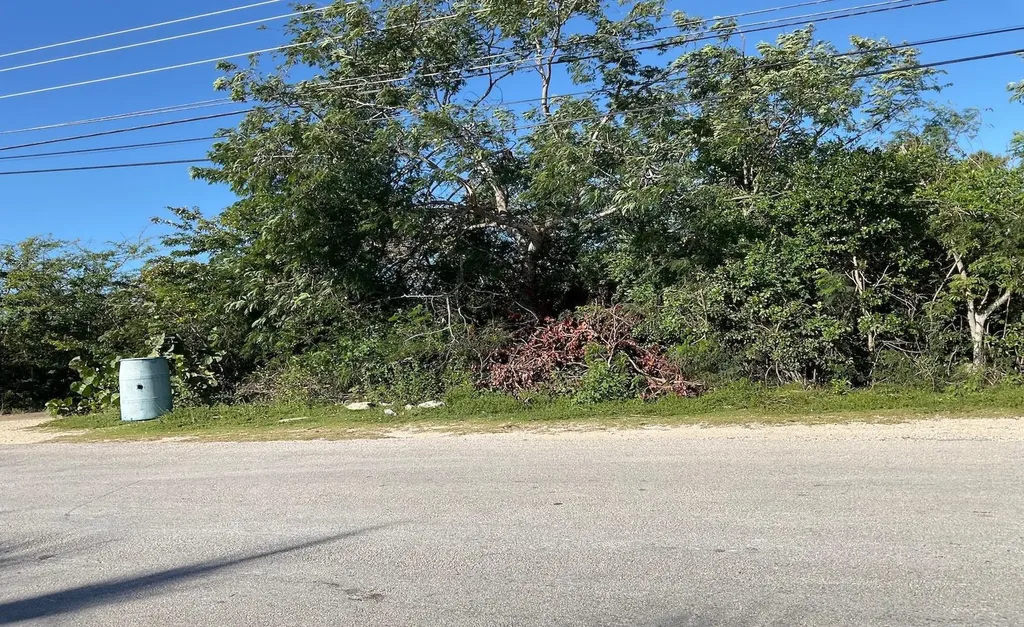 Deadmans's Cay Lot Long Island BS