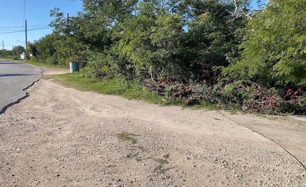 Deadmans's Cay Lot Long Island BS