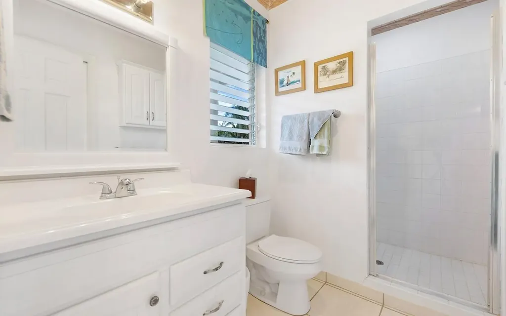 In The Pink, Beach House Eleuthera BS