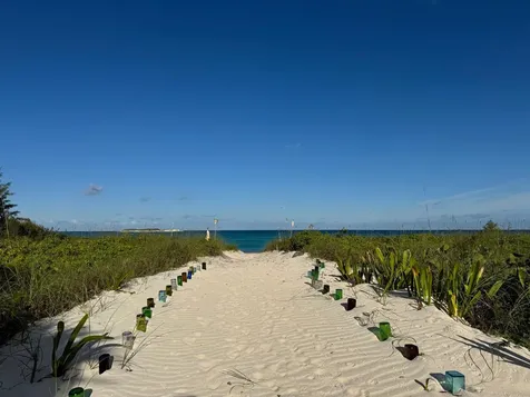 In The Pink, Beach House Eleuthera BS
