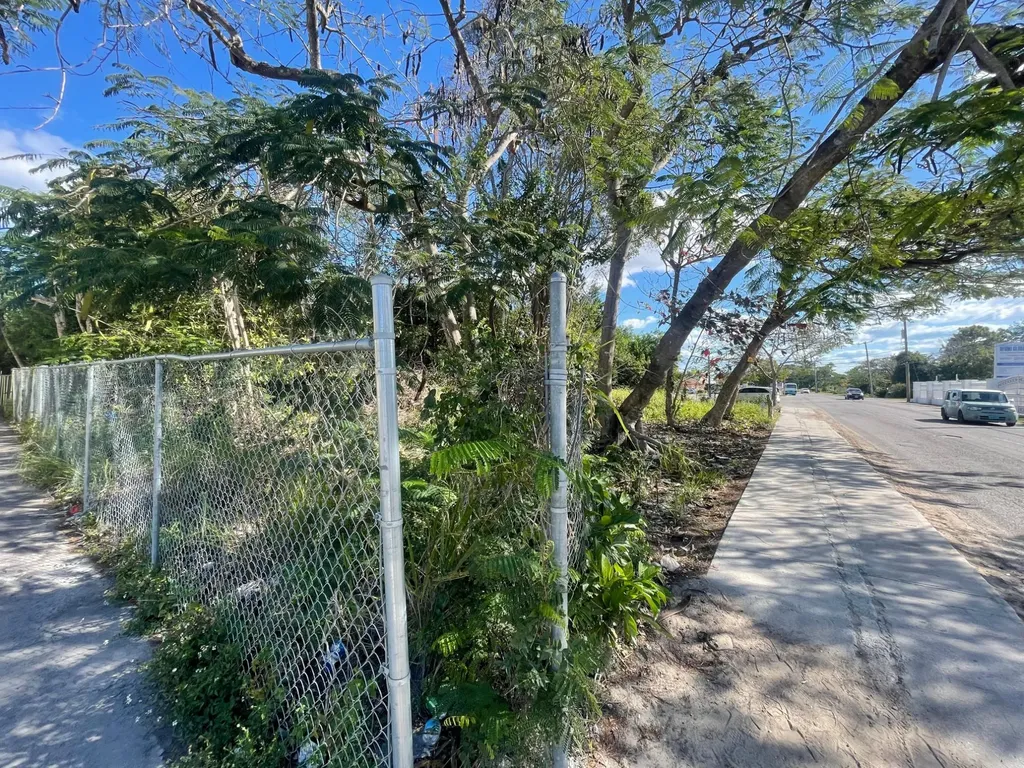 Carmichael Road Lot 45 New Providence Paradise Island BS