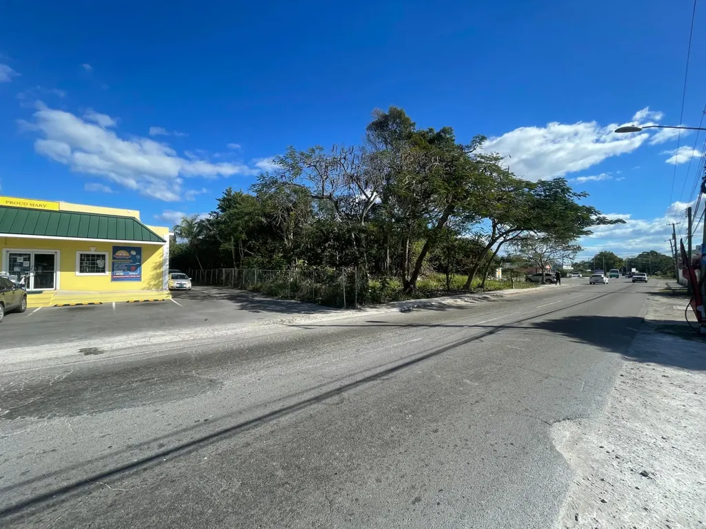 Carmichael Road Lot 45 New Providence Paradise Island BS
