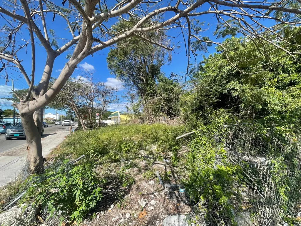 Carmichael Road Lot 45 New Providence Paradise Island BS