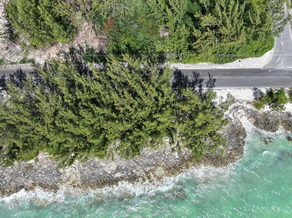 Twynam & Ocean Front Lot New Providence Paradise Island BS