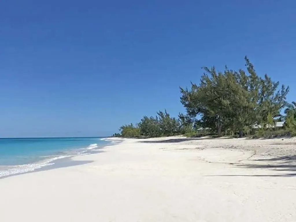 Galliot Cay B-40d Long Island BS