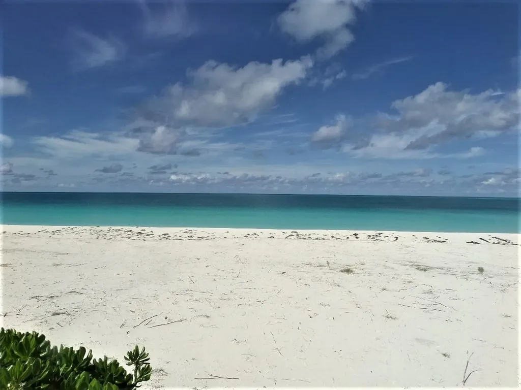 Galliot Cay B-40d Long Island BS