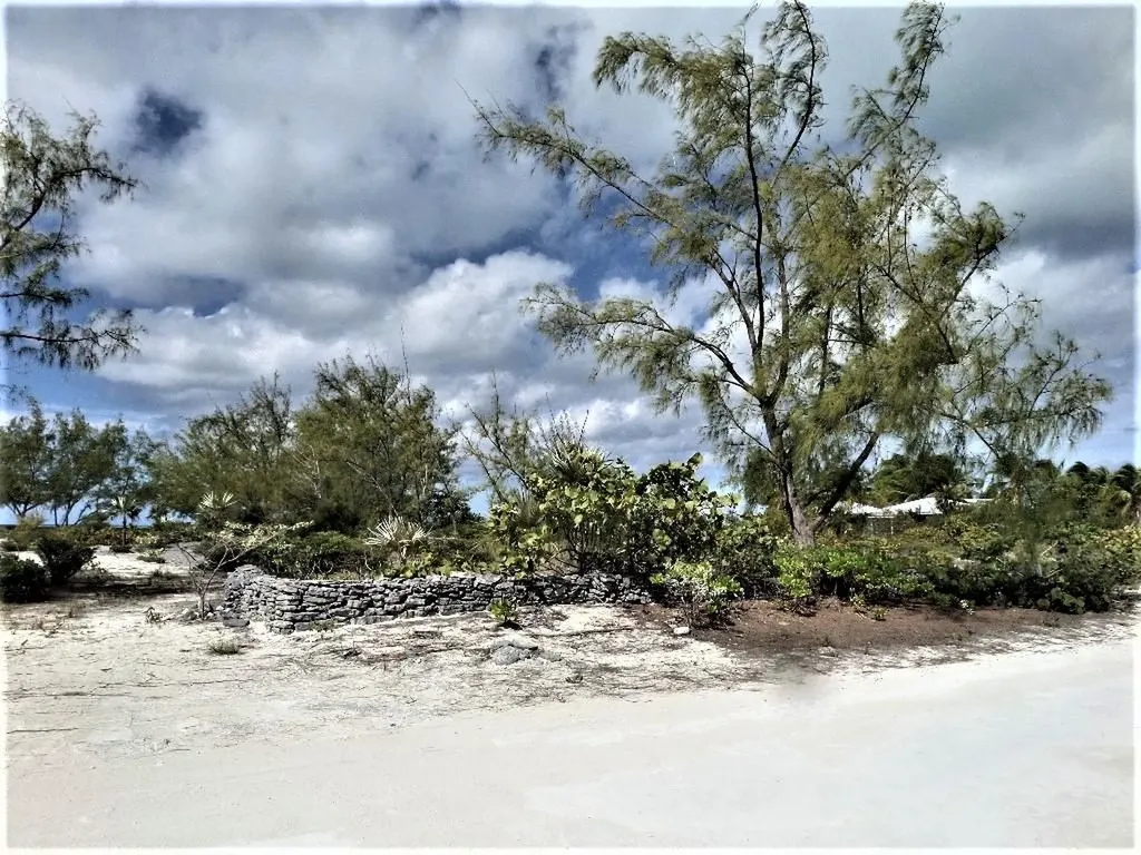 Galliot Cay B-40d Long Island BS