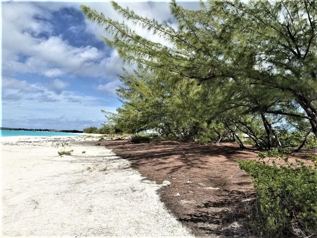 Galliot Cay B-40d Long Island BS