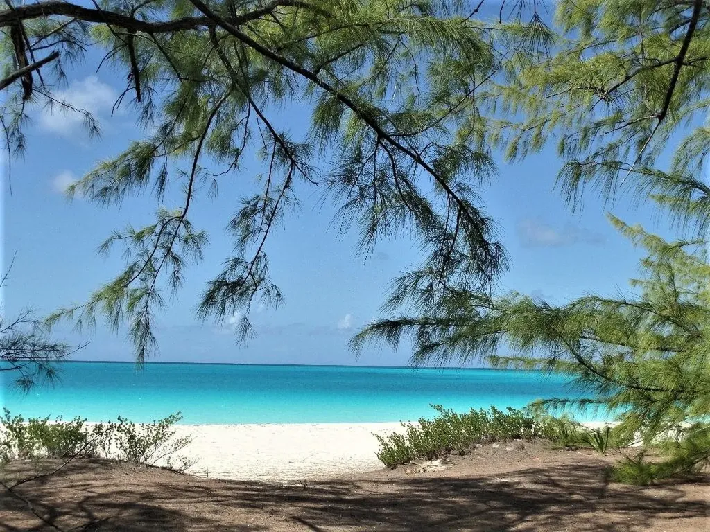 Galliot Cay B-40d Long Island BS
