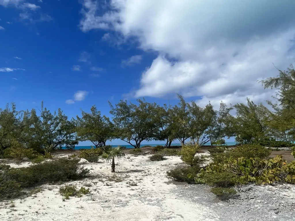 Galliot Cay B-40d Long Island BS
