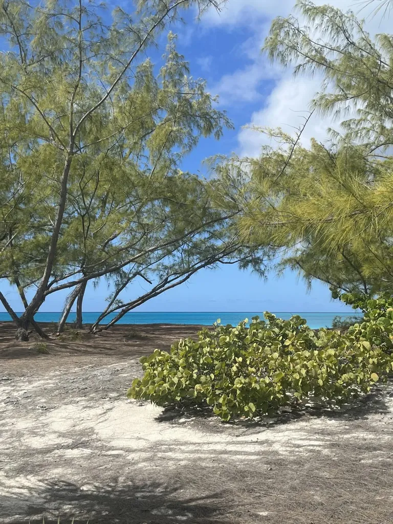 Galliot Cay B-40d Long Island BS