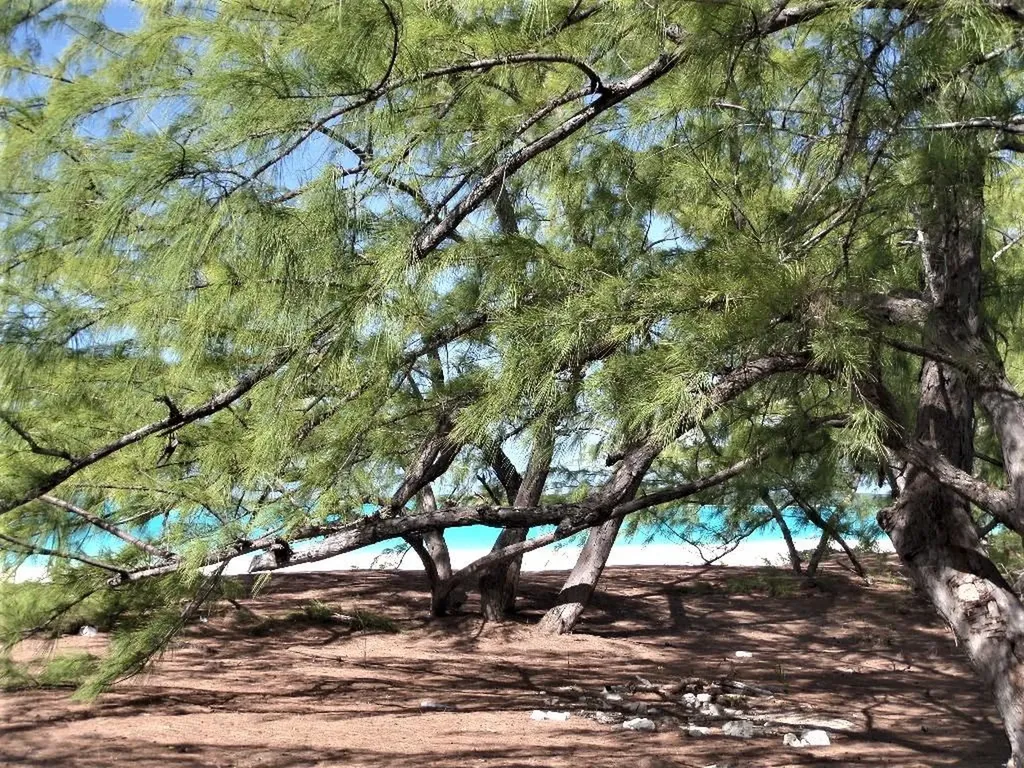 Galliot Cay B-40d Long Island BS