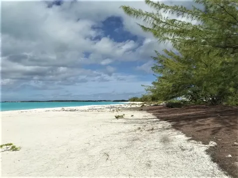 Galliot Cay B-40d Long Island BS