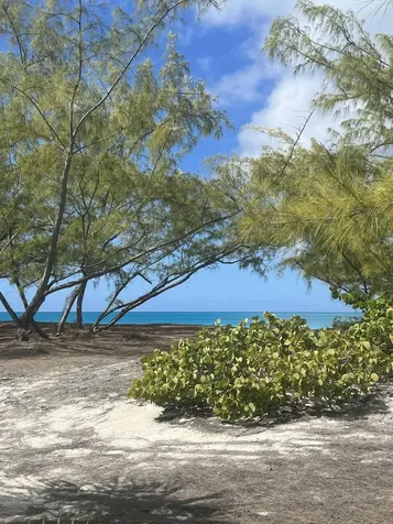 Galliot Cay B-40d Long Island BS