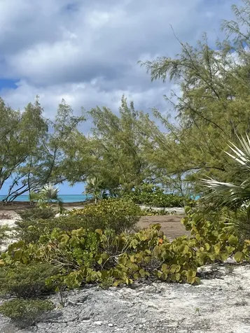 Galliot Cay B-40d Long Island BS