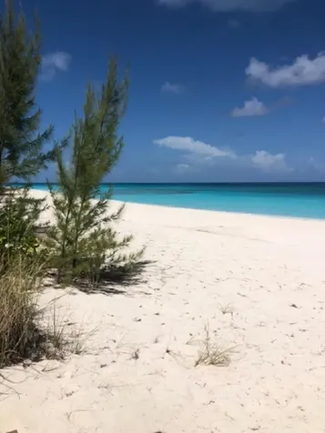 Galliot Cay B-40d Long Island BS