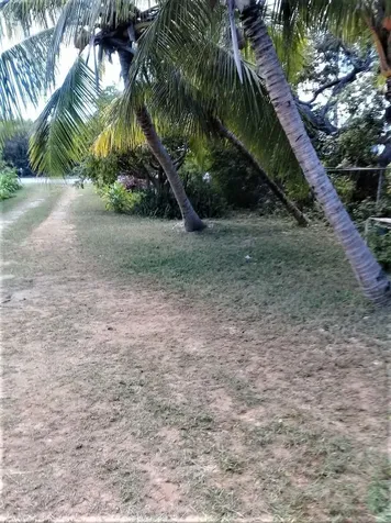 2 Bed/1ba House In Hamilt Long Island BS