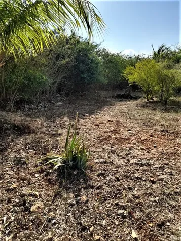 2 Bed/1ba House In Hamilt Long Island BS