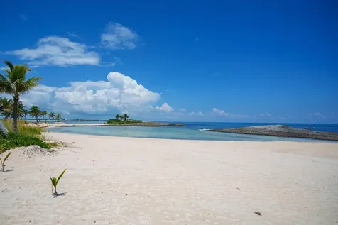 Island Oasis Abaco BS