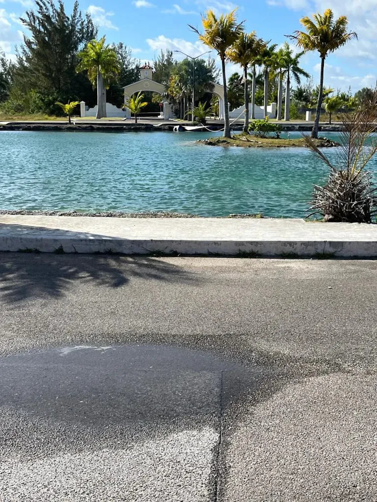 Cedar Street New Providence Paradise Island BS