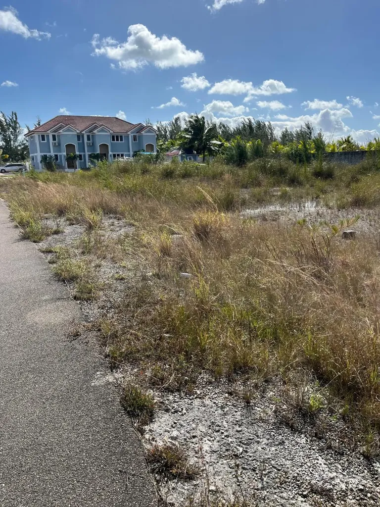 Cedar Street New Providence Paradise Island BS