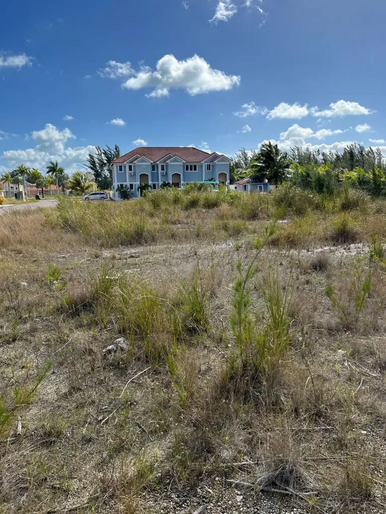 Cedar Street New Providence Paradise Island BS