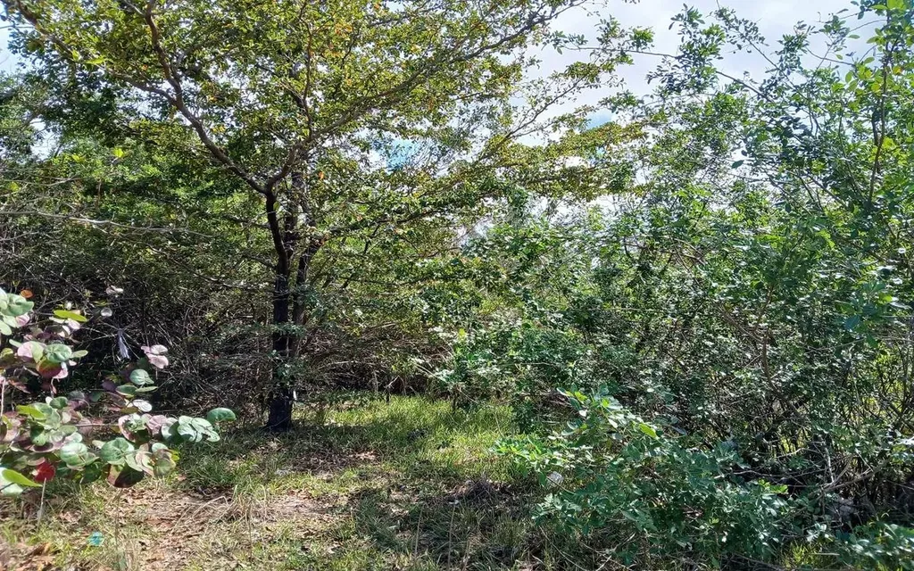 Lot 1a, Millers Long Island BS