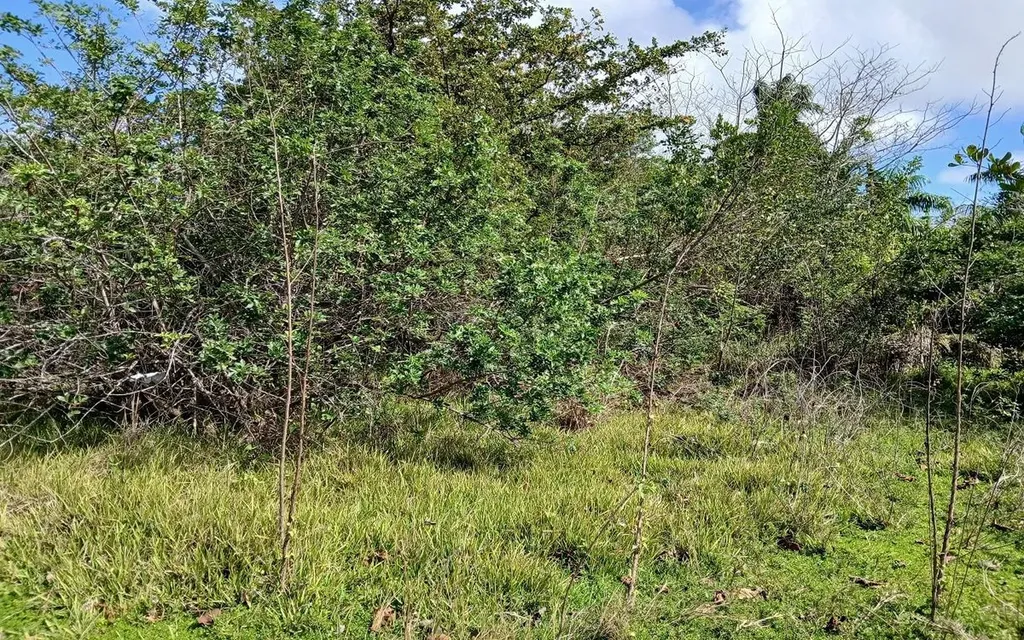 Lot 1a, Millers Long Island BS