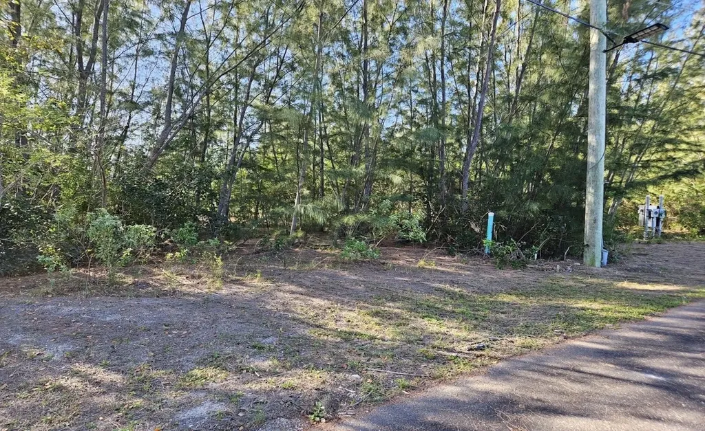 Lot 49, Coral Harbor New Providence Paradise Island BS