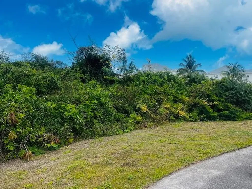 Lot 155 Palm Cay New Providence Paradise Island BS