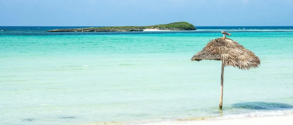 Guinea Schooner Bay 3 Abaco BS