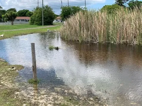 Sir Lynden Pindling Home New Providence Paradise Island BS