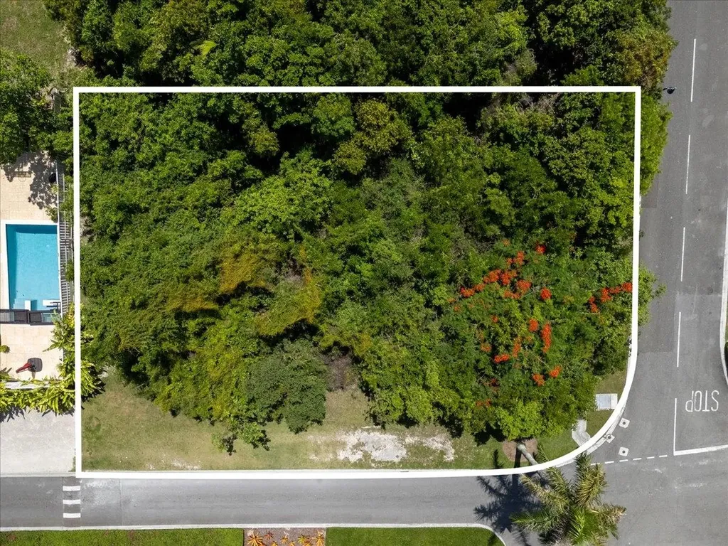 Charlotteville New Providence Paradise Island BS