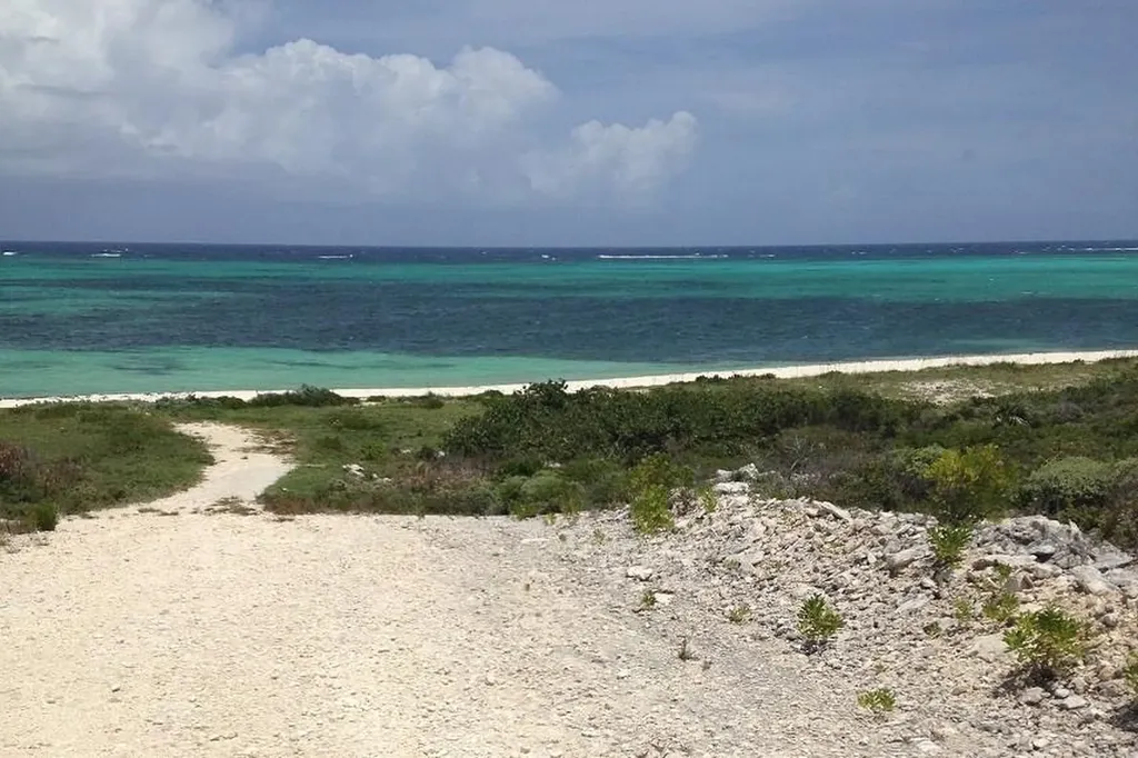 Lot E, Jewfish Hill Acklins BS