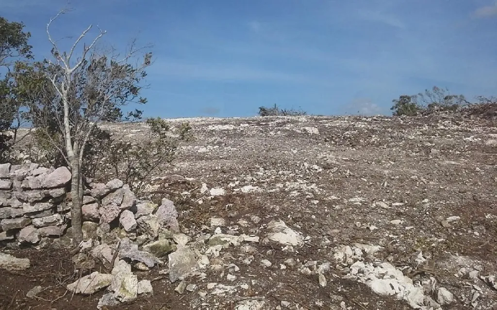 Lot D, Jewfish Hill Acklins BS