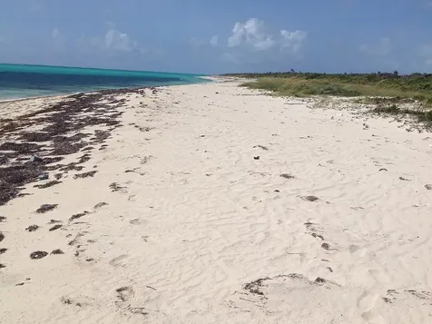 Lot 4, Jewfish Hill Acklins BS