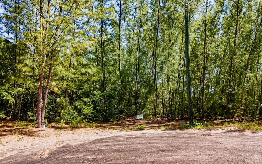 Lot 1, Fairway Close New Providence Paradise Island BS
