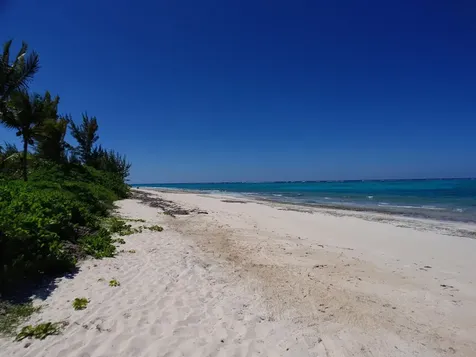 Love Beach Walk New Providence Paradise Island BS