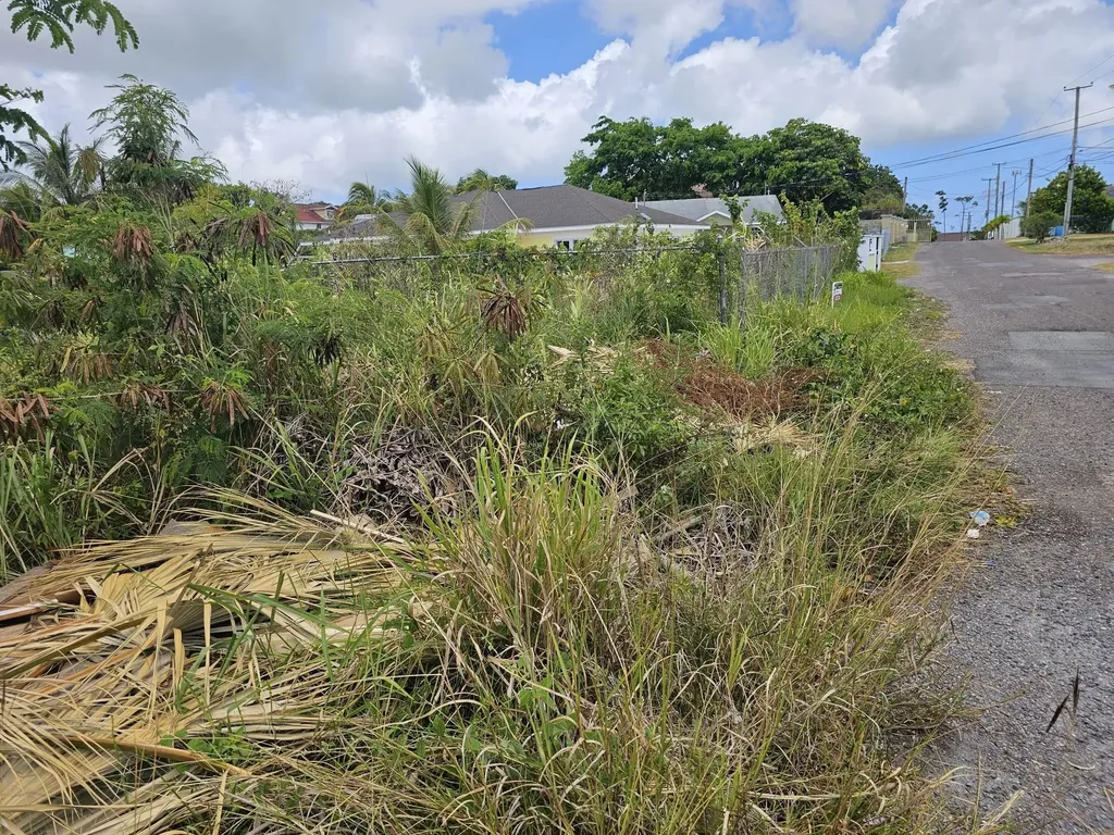 Ramsey Street K New Providence Paradise Island BS