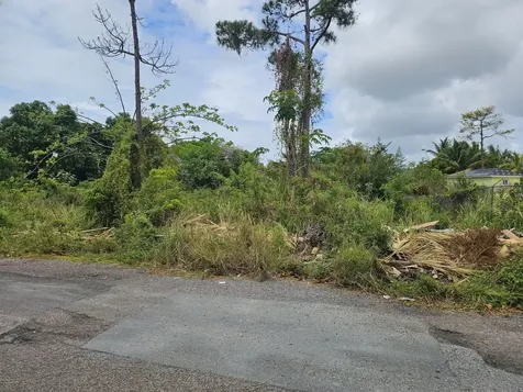 Ramsey Street K New Providence Paradise Island BS