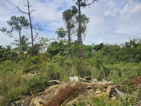 Ramsey Street K New Providence Paradise Island BS